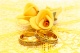 «Золотая свадьба - подарок зрелости»